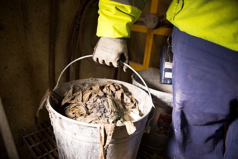 Bucket of wipes that were raked off of a sewage grate